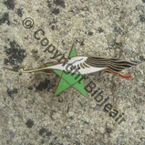 FES 3216.EMGA NH ECOLE TRANS FIL & ou BA.724 FES REMIGES NOIRES PLUMES VENTRALES BLANCHES  SM Bol prison Dos lisse irreg Src.supervanille 67Eur(x2) 